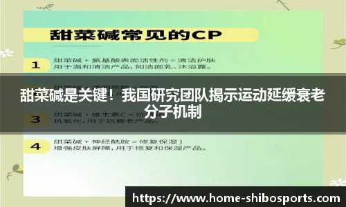 世博体育